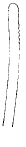 Streptosyllis latipalpa, dorsal simple chaeta, 12th chaetiger